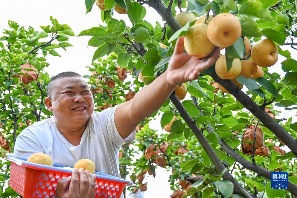 万盛娱乐平台